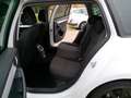 Skoda Octavia 1.2 TSI GRT AMB BNS Blanco - thumbnail 17