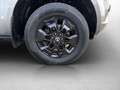 Nissan Navara N-Guard Double Cab 4x4/Rollo/AHK Gris - thumbnail 13
