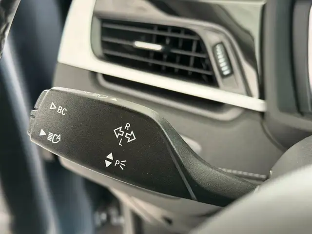 BMW X1 view 30
