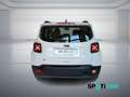 Jeep Renegade 1.5 Turbo T4 MHEV Limited Bianco - thumbnail 8
