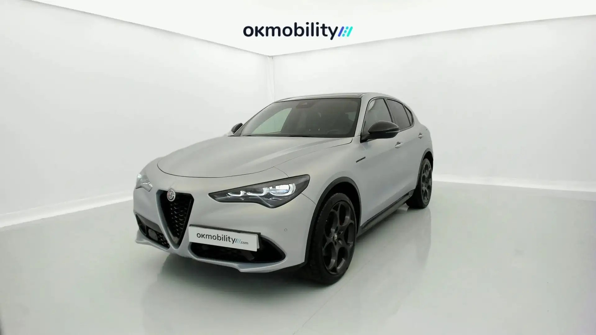 Alfa Romeo Stelvio 2.0 Competizione Q4 Aut. 280 Zilver - 1