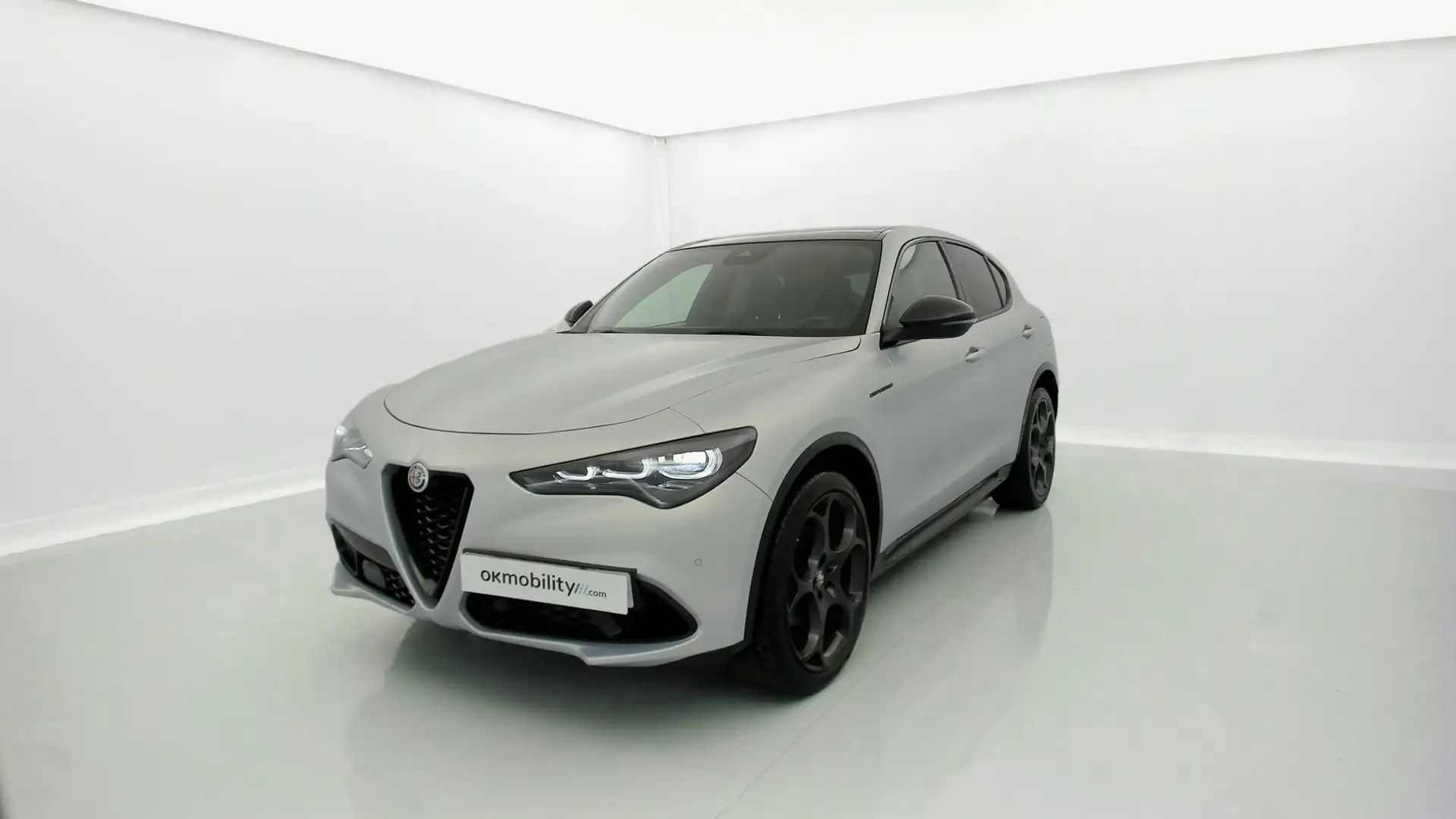 Alfa Romeo Stelvio 2.0 Competizione Q4 Aut. 280 Argento - 1