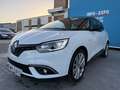 Renault Scenic dCi Limited Blue 110kW Blanc - thumbnail 5