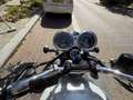 Triumph Bonneville T100 Bud Ekins - thumbnail 10