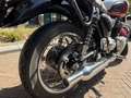 Triumph Bonneville T100 Bud Ekins - thumbnail 14
