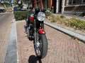 Triumph Bonneville T100 Bud Ekins - thumbnail 6