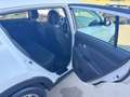Kia Sportage 1.6 ECO GPL+ 2WD Class OK NEOPATENTATO Bianco - thumbnail 14