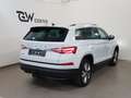Skoda Kodiaq 2,0 TDI DSG Style Sport ACC AHK Travel Assist High Weiß - thumbnail 9
