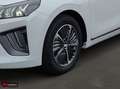 Hyundai IONIQ 1,6 GDI PHEV Advantage Paket - BAFA abgezo Weiß - thumbnail 6