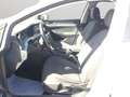 Volkswagen Golf Variant VIII 1.5TSI Life LED AHK ACC Rear View Vorber. Nav Bianco - thumbnail 11