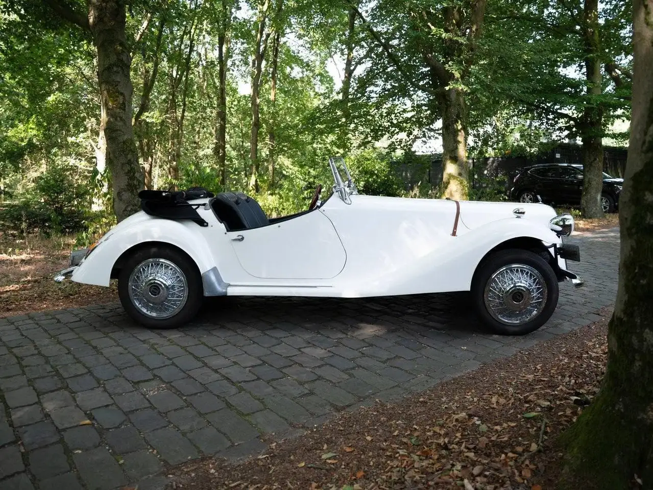 Citroen 2CV Charon roadster, foto 4