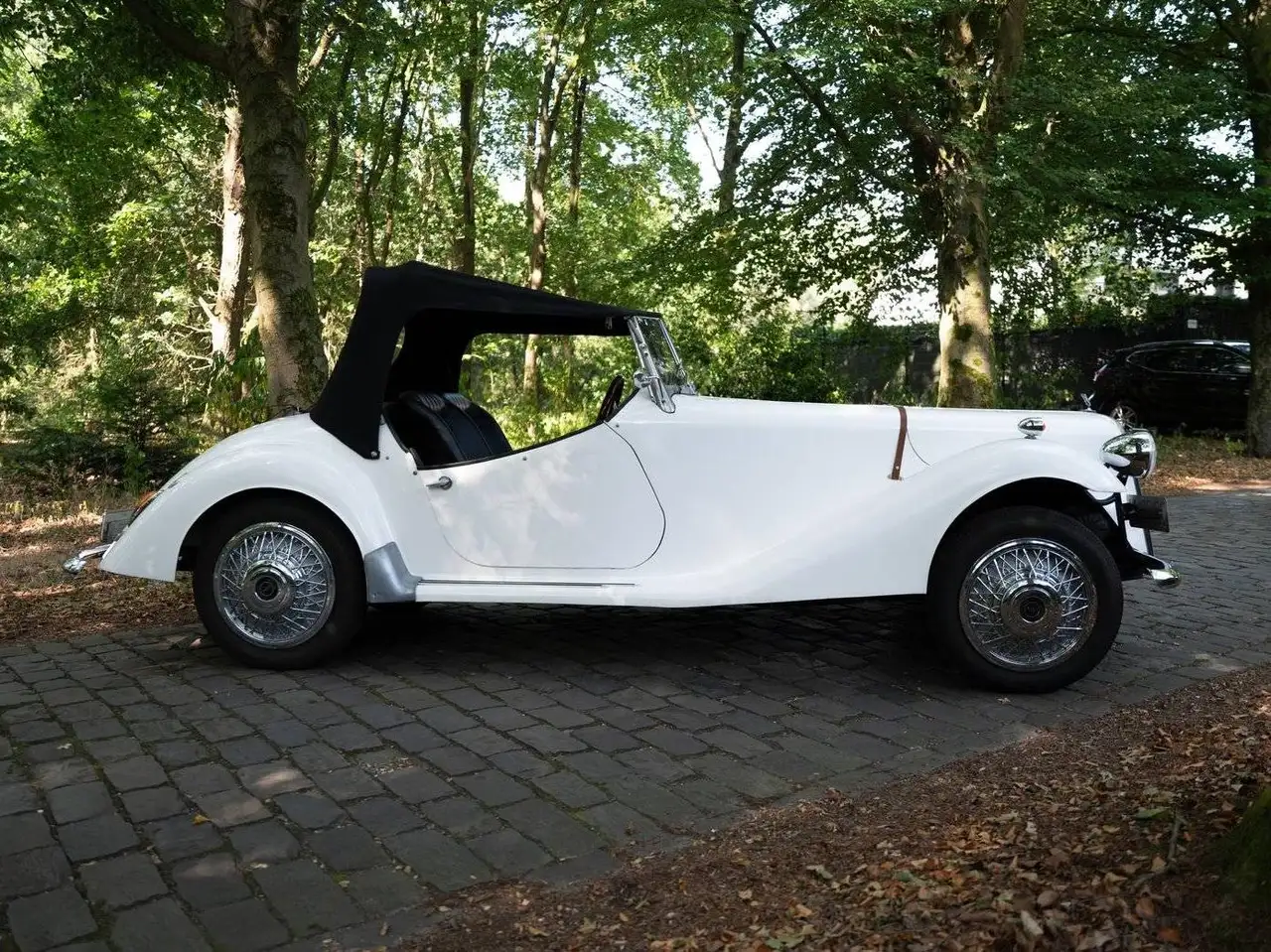 Citroen 2CV Charon roadster, foto 3