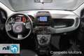 Fiat Panda Panda 1.0 70cv Hybrid City Life Grigio - thumbnail 7