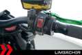 Kawasaki Z 1000 IXRace-Auspuff, Rizoma, Pazzo Verde - thumbnail 21