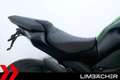 Kawasaki Z 1000 IXRace-Auspuff, Rizoma, Pazzo Verde - thumbnail 24