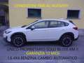 Subaru XV II 2021 1.6i  4X4 Premium lineartronic Blanc - thumbnail 2