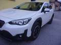 Subaru XV II 2021 1.6i  4X4 Premium lineartronic Blanc - thumbnail 22