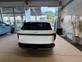 Kia K4 SW Gold 1,0 TGDI MT6 48V Weiß - thumbnail 5
