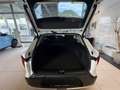 Kia K4 SW Gold 1,0 TGDI MT6 48V Weiß - thumbnail 11