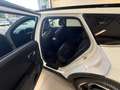 Kia K4 SW Gold 1,0 TGDI MT6 48V Weiß - thumbnail 10
