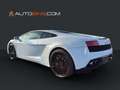 Lamborghini Gallardo LP560-4 E-Gear*RFK*Lift*Kamera*Sitzh.* Blanc - thumbnail 4