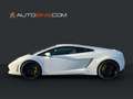 Lamborghini Gallardo LP560-4 E-Gear*RFK*Lift*Kamera*Sitzh.* Blanc - thumbnail 8