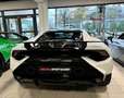 Lamborghini Huracán HURACAN TECNICA CARBON EXT&INT SENSONUM FULLOPT! Weiß - thumbnail 6