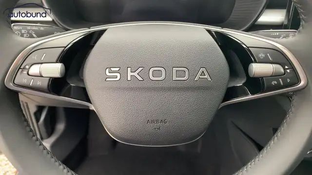 Skoda Fabia view 10