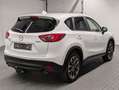 Mazda CX-5 AWD Sports-Line LED/Stdhzg/Navi/BOSE/AHK Blanc - thumbnail 4