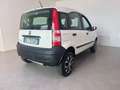 Fiat Panda 4x4 1.2 Wit - thumbnail 4