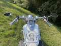 Honda VT 750 Custom Bianco - thumbnail 12