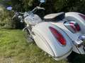 Honda VT 750 Custom Bianco - thumbnail 15