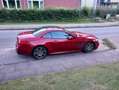 Mercedes-Benz SL 500 AMG Line Rot - thumbnail 3