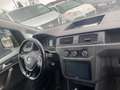 Volkswagen Caddy Nfz Maxi Kombi BMT 4Motion/ACC/Navi Rouge - thumbnail 10