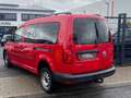 Volkswagen Caddy Nfz Maxi Kombi BMT 4Motion/ACC/Navi Rouge - thumbnail 12