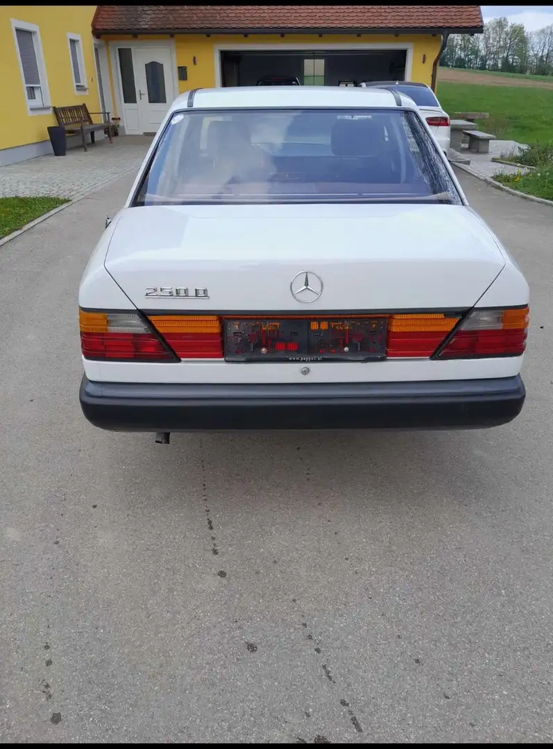 Mercedes-Benz 250 D Ds. - 2