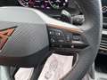 CUPRA Leon 1.5 eTSI Noir - thumbnail 17