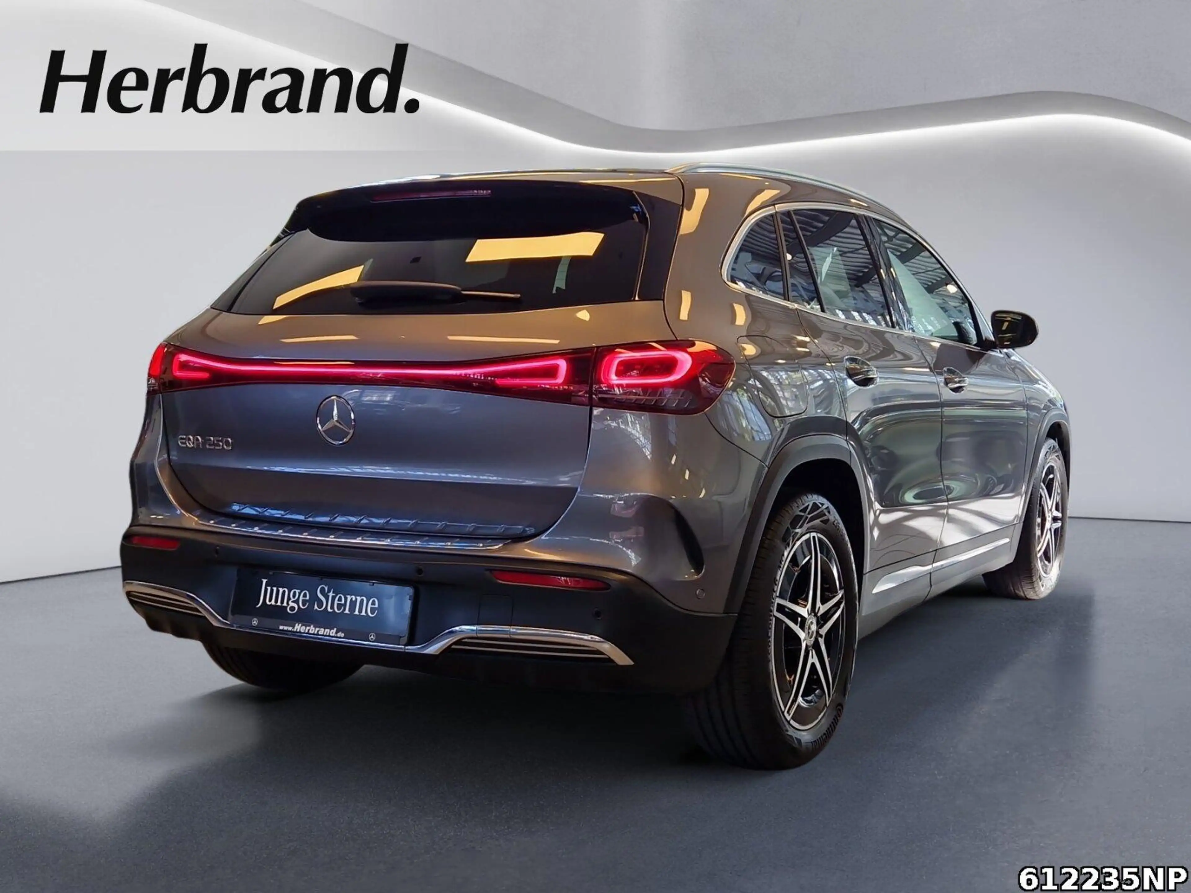 Mercedes-Benz EQA 250 AMG Line AHK Totwinkel 360°Kamera LED — photo 3