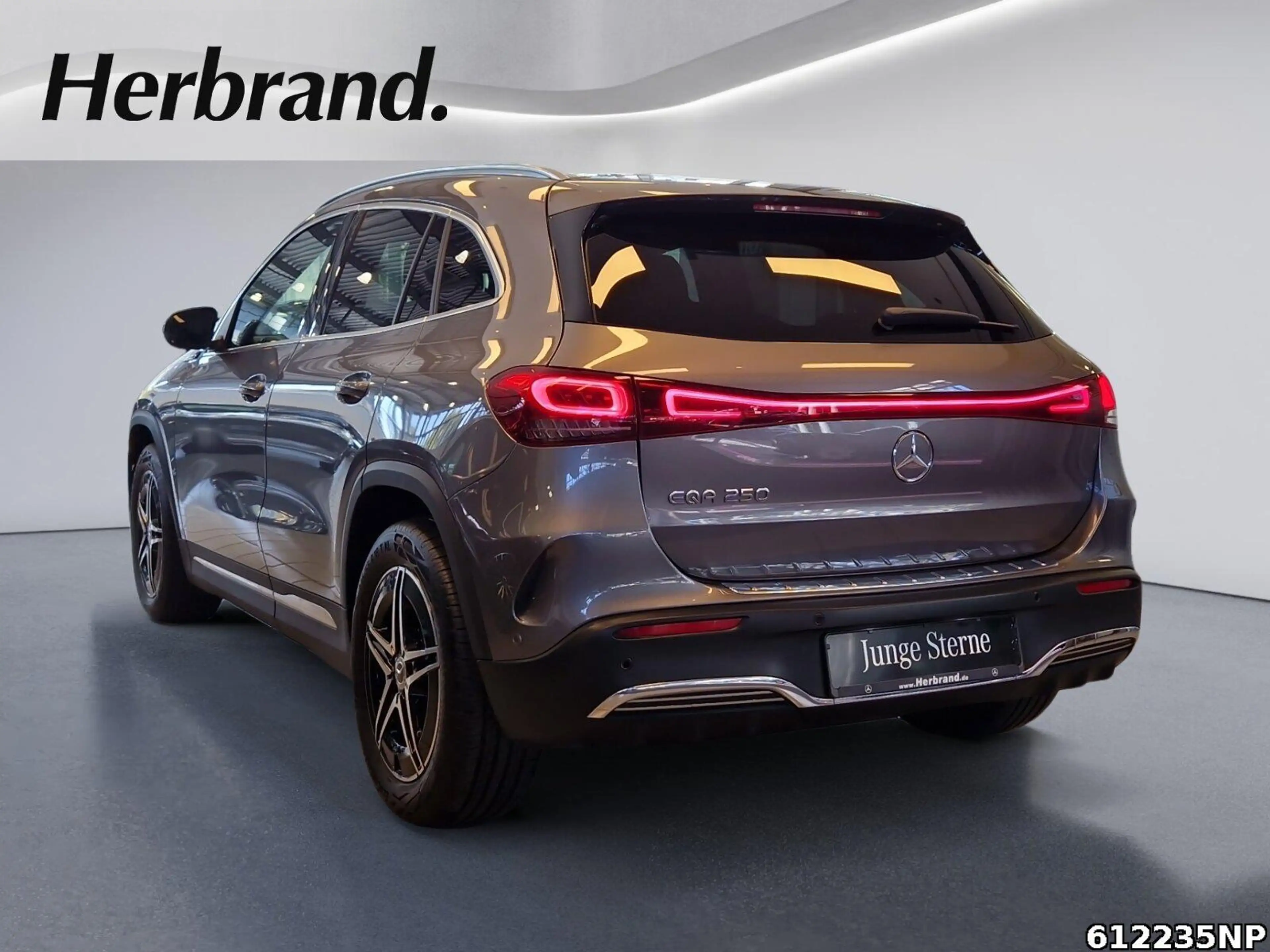 Mercedes-Benz EQA 250 AMG Line AHK Totwinkel 360°Kamera LED — photo 4