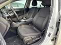 Opel Insignia Edition *EXPORT* Weiß - thumbnail 10