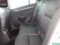 Skoda Octavia Octavia Combi 2.0 TDI 4x4 KEYLESSGO,CANTON,PANO Weiß - thumbnail 11