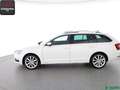 Skoda Octavia Octavia Combi 2.0 TDI 4x4 KEYLESSGO,CANTON,PANO Weiß - thumbnail 2