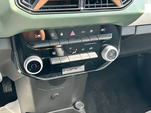 Dacia Spring view 29