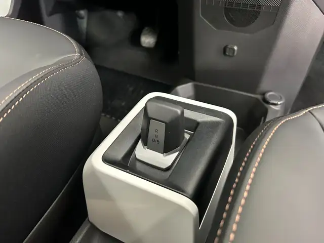 Dacia Spring view 25