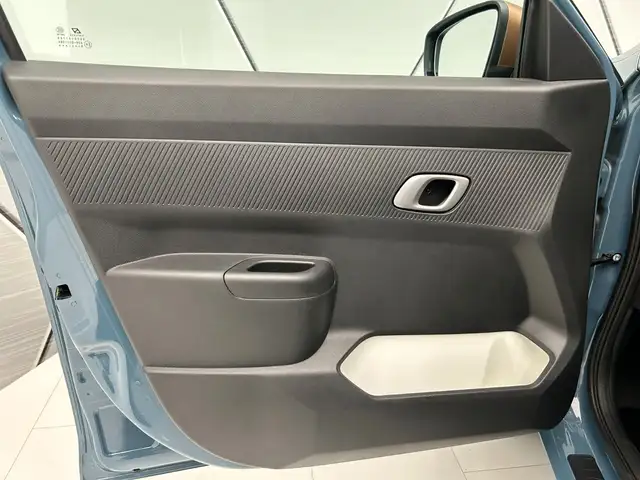 Dacia Spring view 13