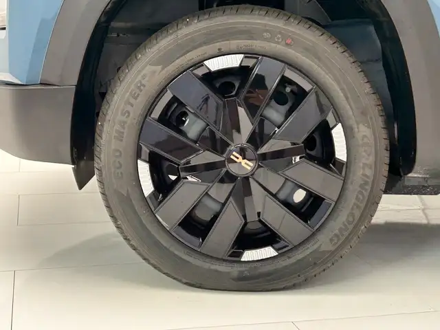 Dacia Spring view 10