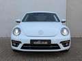 Volkswagen Beetle 1.2 TSI Design 19'' LED/Xenon CarPlay Cruise Weiß - thumbnail 7