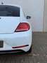Volkswagen Beetle 1.2 TSI Design 19'' LED/Xenon CarPlay Cruise Weiß - thumbnail 27