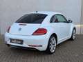 Volkswagen Beetle 1.2 TSI Design 19'' LED/Xenon CarPlay Cruise Weiß - thumbnail 5