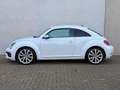 Volkswagen Beetle 1.2 TSI Design 19'' LED/Xenon CarPlay Cruise Weiß - thumbnail 3